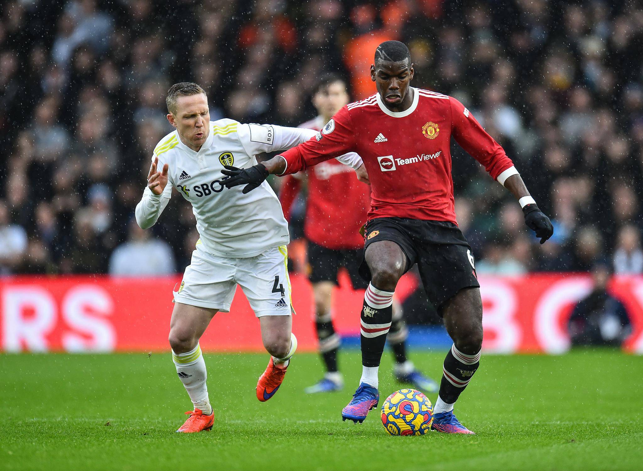 的职业生涯 的职业生涯